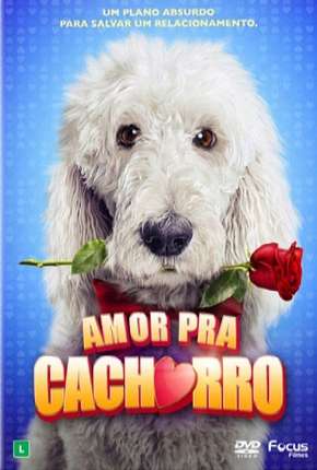 Amor Pra Cachorro Download Mais Baixado