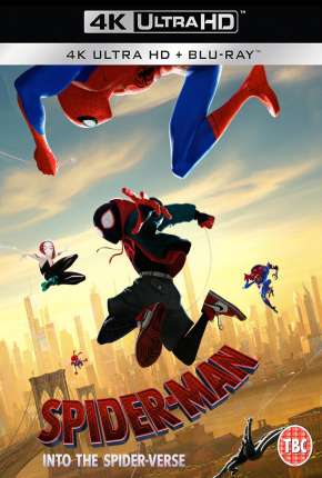 Homem-Aranha - No Aranhaverso 4K Legendado Download Mais Baixado