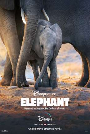 Elefante - Legendado Download Mais Baixado