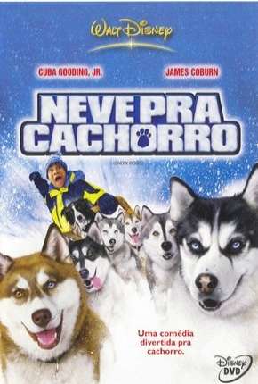 Neve pra Cachorro Download Mais Baixado