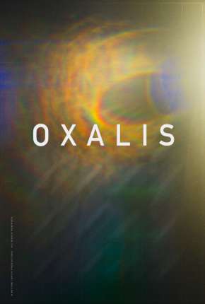 Oxalis - Legendado Torrent Download Mais Baixado