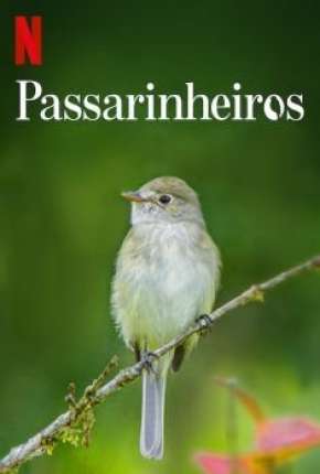 Passarinheiros - Birders Download Mais Baixado