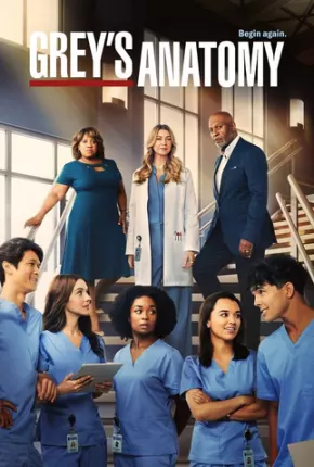 Greys Anatomy - 19ª Temporada Download Mais Baixado