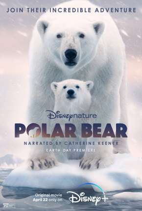 A Ursa Polar Download Mais Baixado