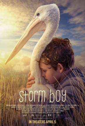 Amigos Para Sempre - Storm Boy Torrent Download Mais Baixado