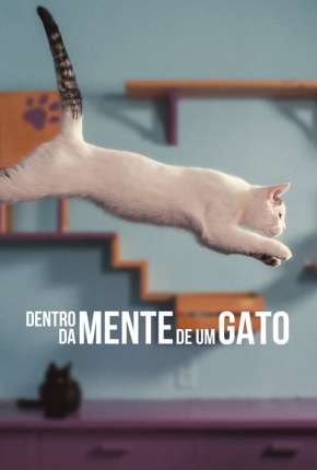 Dentro da Mente de um Gato - Legendado Download Mais Baixado