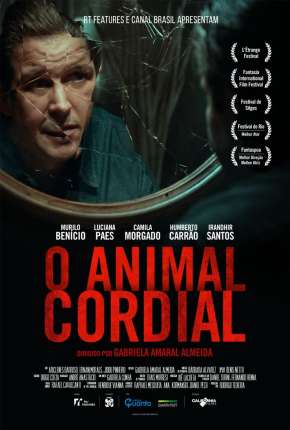 O Animal Cordial Nacional Download Mais Baixado