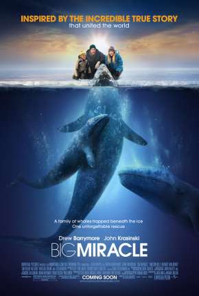 O Grande Milagre - Big Miracle Download Mais Baixado