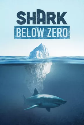 Shark Below Zero Torrent Download Mais Baixado