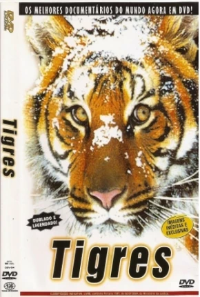 Tigres / Na Sombra do Tigre  Download Mais Baixado