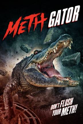 Attack of the Meth Gator - Legendado Torrent Download Mais Baixado