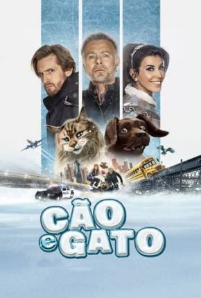 Cão e Gato Download Mais Baixado