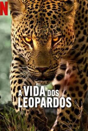 A Vida dos Leopardos Download Mais Baixado