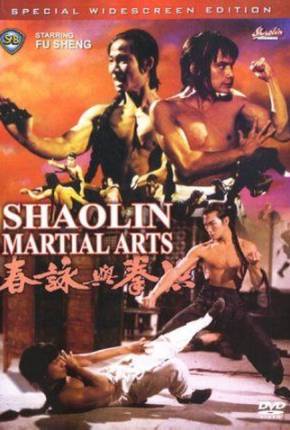 As Artes Marciais de Shaolin / Hong quan yu yong chun Download Mais Baixado