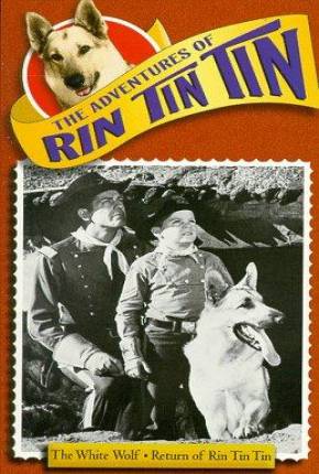 As Aventuras de Rin Tin Tin - 1ª Temporada  Download Mais Baixado